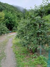 팜모닝 금쪽같은 내 작물 자랑하기·참여 게시글 이미지