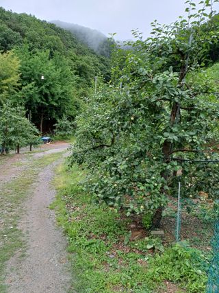 보공(김대호)님의 금쪽같은 내 작물 자랑하기 · 참여 작성글 사진