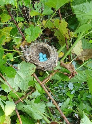 강릉농업귀신님의 금쪽같은 내 작물 자랑하기 · 참여 작성글 사진