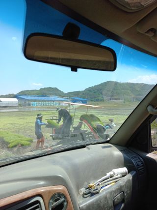 배순옥님의 금쪽같은 내 작물 자랑하기 · 참여 작성글 사진