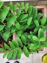 팜모닝 금쪽같은 내 작물 자랑하기·참여 게시글 이미지