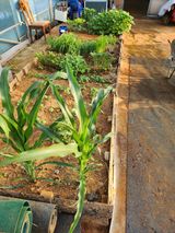 팜모닝 자유주제·자유게시판 게시글 이미지