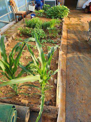 자연과의 소통님의 자유주제 · 자유게시판 작성글 사진