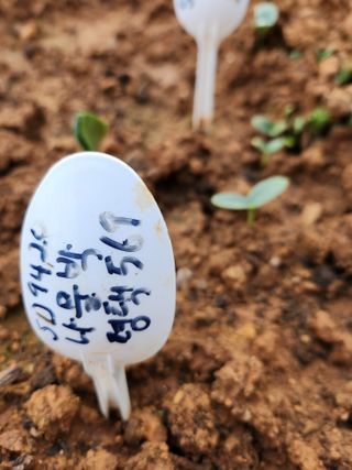 자연과의 소통님의 자유주제 · 자유게시판 작성글 사진