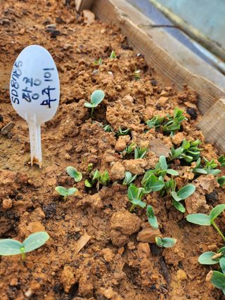 자연과의 소통님의 자유주제 · 자유게시판 작성글 사진