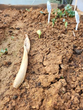 자연과의 소통님의 자유주제 · 자유게시판 작성글 사진