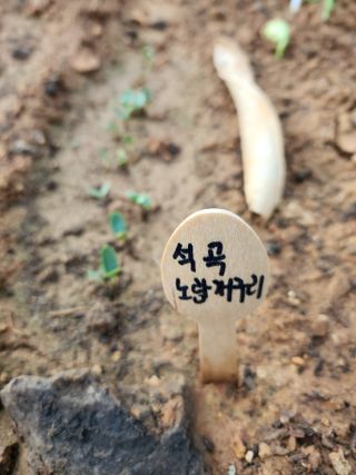 자연과의 소통님의 자유주제 · 자유게시판 작성글 사진