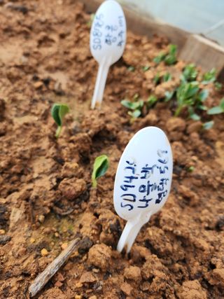 자연과의 소통님의 자유주제 · 자유게시판 작성글 사진