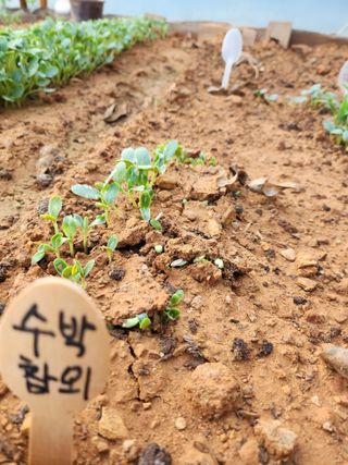 자연과의 소통님의 자유주제 · 자유게시판 작성글 사진