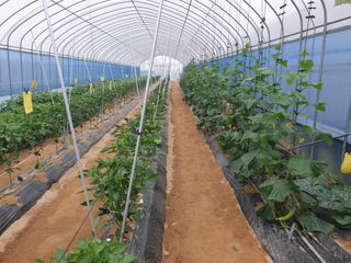 홍미옥님의 자유주제 · 자유게시판 작성글 사진