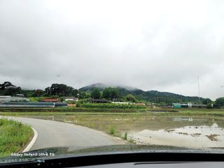 기원운님의 우리동네 · 동네자랑 작성글 사진