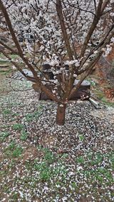 팜모닝 금쪽같은 내 작물 자랑하기·참여 게시글 이미지