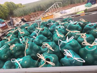 정희원 님의 금쪽같은 내 작물 자랑하기 · 참여 작성글 사진