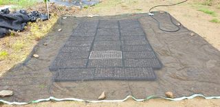 거산o2님의 금쪽같은 내 작물 자랑하기 · 참여 작성글 사진