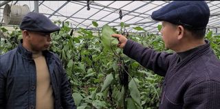 그린톡톡 오계상님의 자유주제 · 자유게시판 작성글 사진