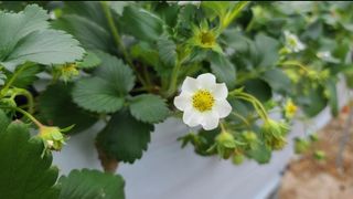 그린톡톡 오계상님의 자유주제 · 자유게시판 작성글 사진