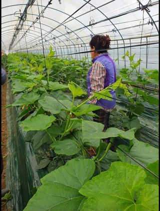 그린톡톡 오계상님의 자유주제 · 자유게시판 작성글 사진