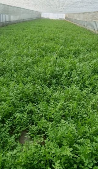 그린톡톡 오계상님의 자유주제 · 자유게시판 작성글 사진