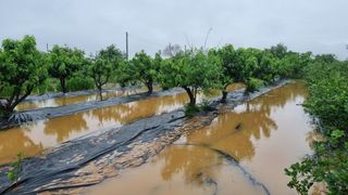 전주치유농정명숙님의 자유주제 · 자유게시판 작성글 사진