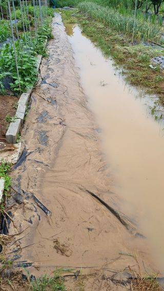 전주치유농정명숙님의 자유주제 · 자유게시판 작성글 사진
