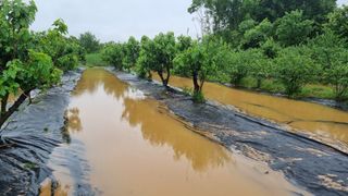 전주치유농정명숙님의 자유주제 · 자유게시판 작성글 사진