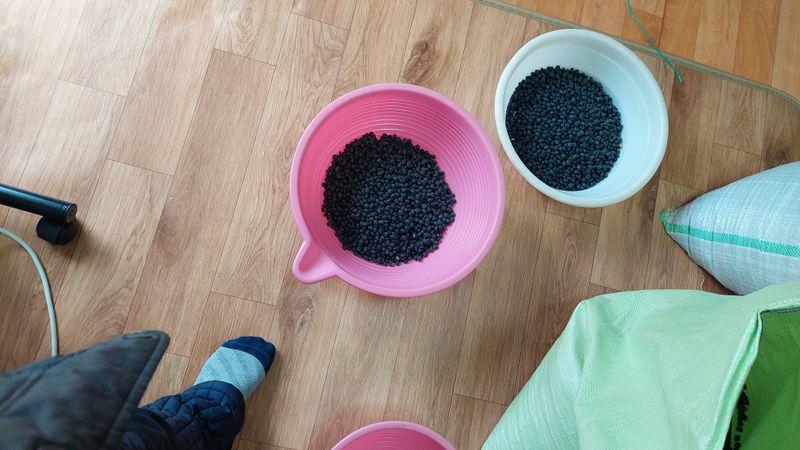 장터 상품 [귀족서리태10kg] 썸네일