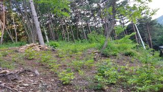 신옥윤님의 자유주제 · 자유게시판 작성글 사진