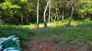 신옥윤님의 자유주제 · 자유게시판 작성글 사진