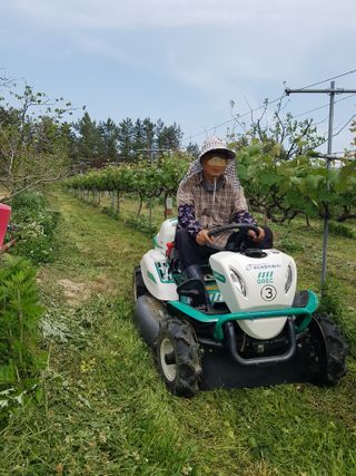 보람농장님의 금쪽같은 내 작물 자랑하기 · 참여 작성글 사진