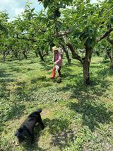 팜모닝 금쪽같은 내 작물 자랑하기·참여 게시글 이미지