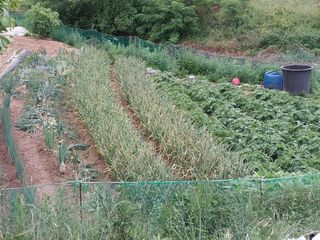 해안로님의 기타작물 · 자유게시판 작성글 사진