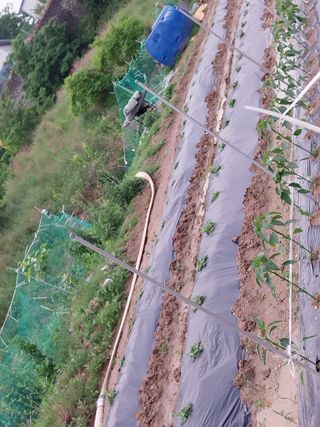 해안로님의 기타작물 · 자유게시판 작성글 사진