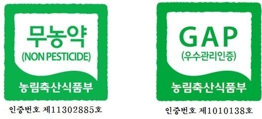 홍천산채농원 조원영님의 장터 판매 상품 [눈개승마 모종] 첨부 사진