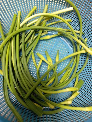 윤성애님의 금쪽같은 내 작물 자랑하기 · 참여 작성글 사진