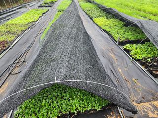 약초원 김종군님의 작성글 사진