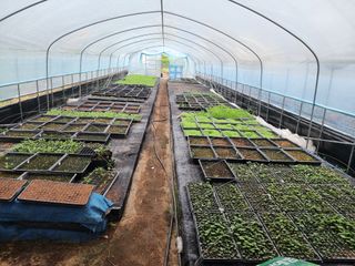 약초원 김종군님의 작성글 사진