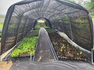 약초원 김종군님의 작성글 사진