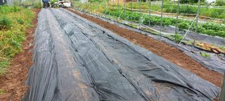 하늘과 땅과 사람님의 기타작물 · 자유게시판 작성글 사진