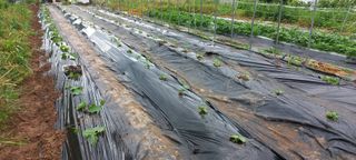 하늘과 땅과 사람님의 기타작물 · 자유게시판 작성글 사진