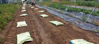 하늘과 땅과 사람님의 기타작물 · 자유게시판 작성글 사진