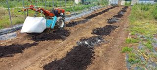 하늘과 땅과 사람님의 기타작물 · 자유게시판 작성글 사진