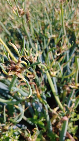 이용일님의 작성글 사진