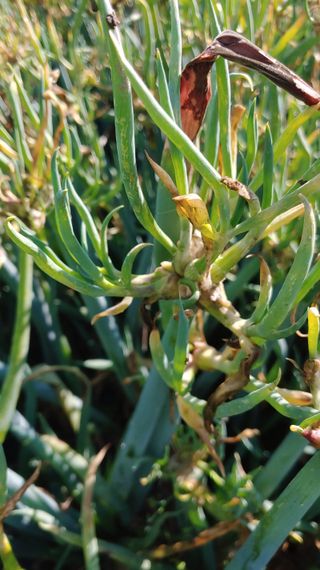 이용일님의 작성글 사진