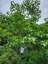 팜모닝 금쪽같은 내 작물 자랑하기·참여 게시글 이미지