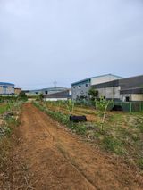 팜모닝 배·일상 게시글 이미지