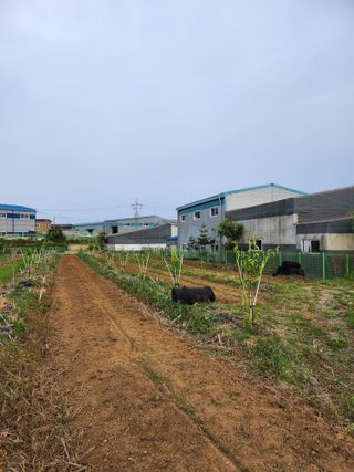 콩8087님의 배 · 일상 작성글 사진