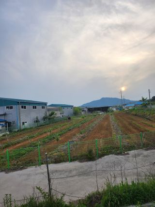 콩8087님의 배 · 일상 작성글 사진