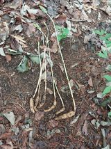 팜모닝 · 게시글 이미지