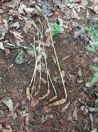 김봉호님의 작성글 사진