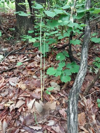 김봉호님의 작성글 사진